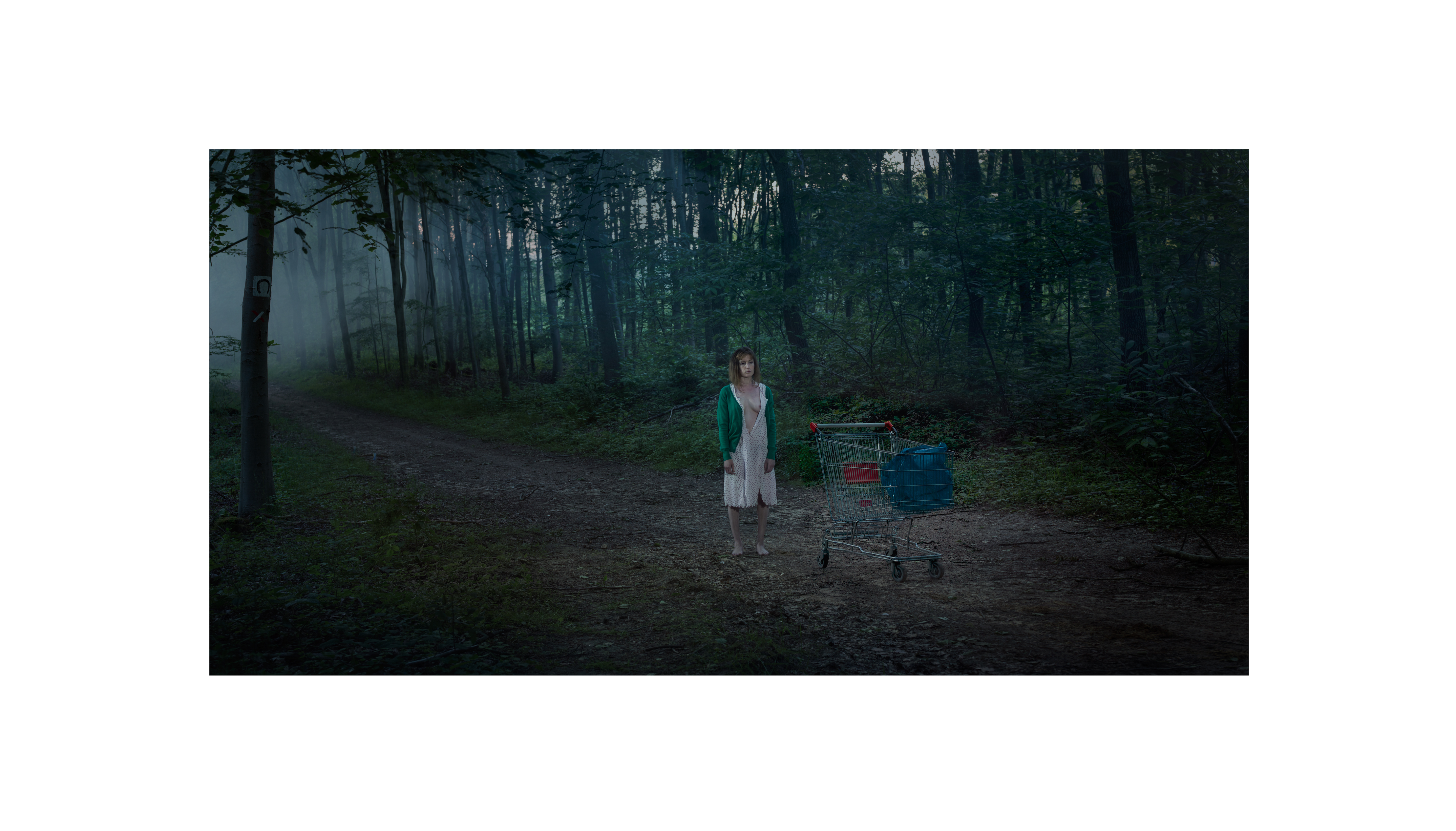 Lost In Wood par Julien Dumas