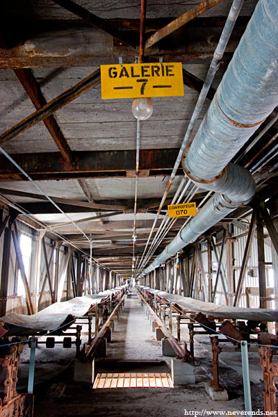 20080731-_MG_4016