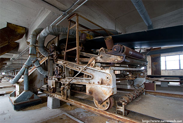 20080804-_MG_4234