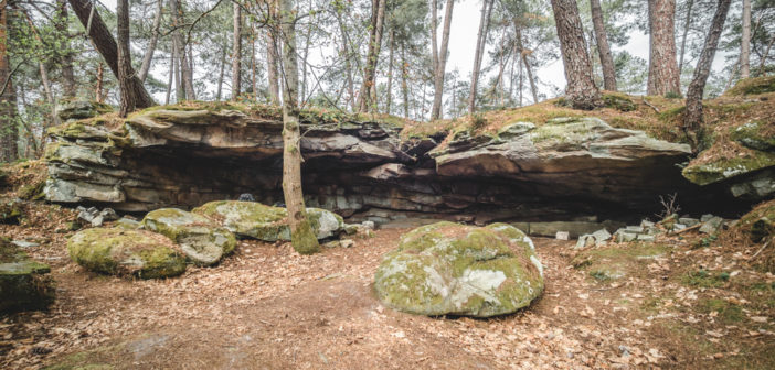 Fontainebleau : Exploration sur les traces de la préhistoire